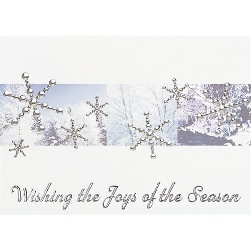 Classic-Silver Snowflakes Holiday Greeting Card-1