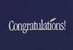 Custom Blue Congratulations Everyday Note Card (3 1/2"x5")