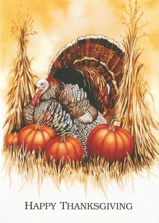 Classic-Thanksgiving-Turkey-Pumpkin-Holiday-Greeting-Card-5063 Custom Classic Thanksgiving Turkey & Pumpkin Holiday Greeting Card