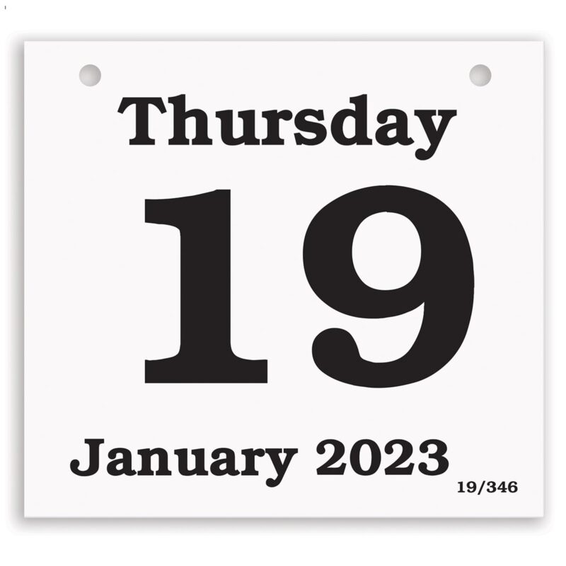 Custom Daily Date Calendar Refill - Large Pad