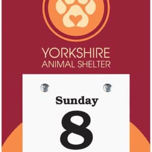 Custom Daily Date Value Trimmed Calendar - 4x7