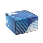 Custom Corrugated Box - 8" x 8" x 5" - 1