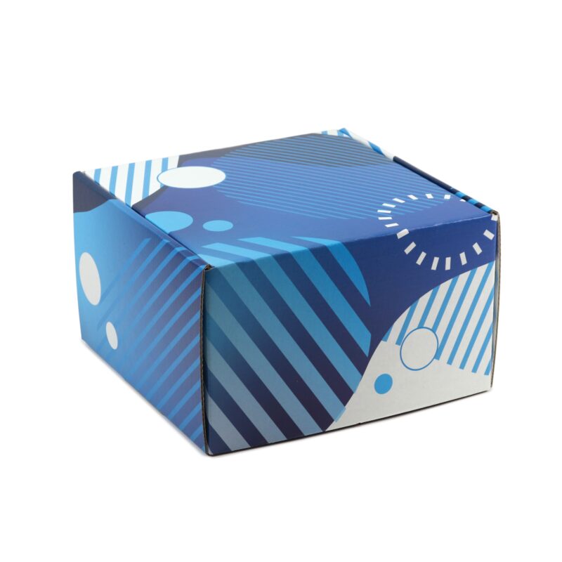 Custom Corrugated Box - 8" x 8" x 5" - 1